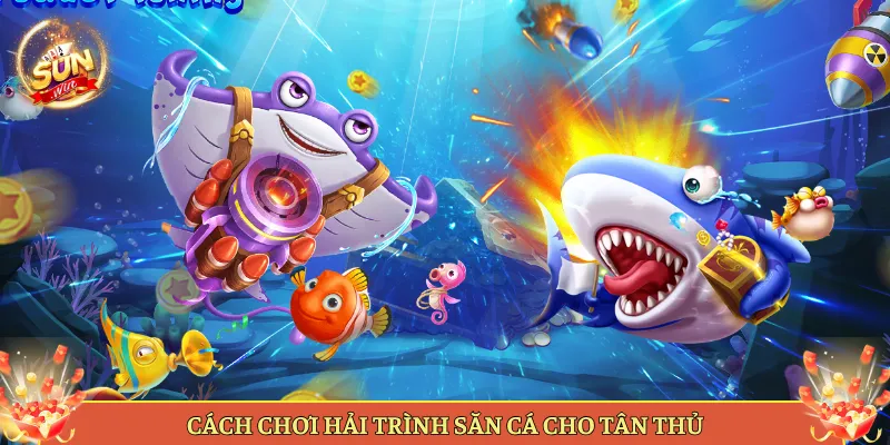 Cách Chơi Hải Trình Săn Cá Cho Tân Thủ