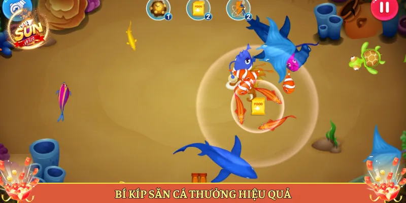 Các Loại Cá Mang Thưởng Lớn