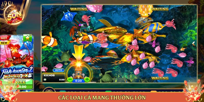 Bí Kíp Săn Cá Thưởng Hiệu Quả