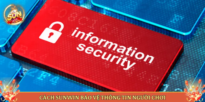 Chúng Tôi Thu Thập Và Dùng Dữ Liệu Của Anh Em Thế Nào